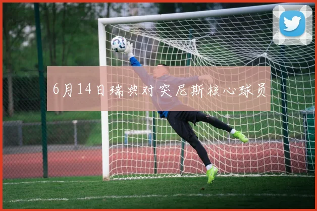 6月14日瑞典对突尼斯核心球员