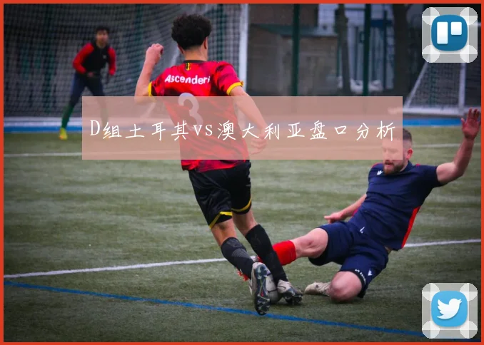 D组土耳其vs澳大利亚盘口分析
