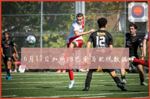 6月17日加纳vs巴拿马犯规数据
